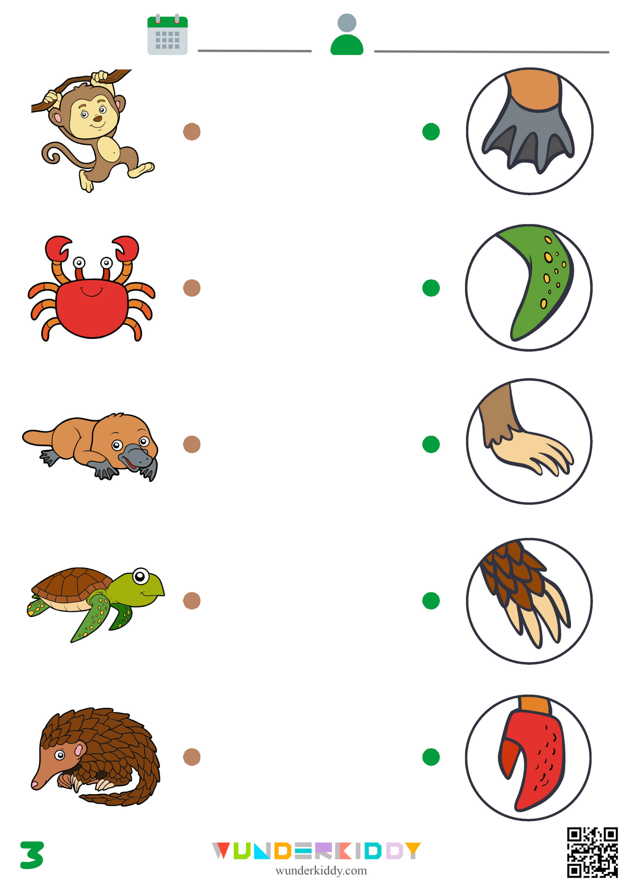 Animal Worksheets for Preschool - Image 4