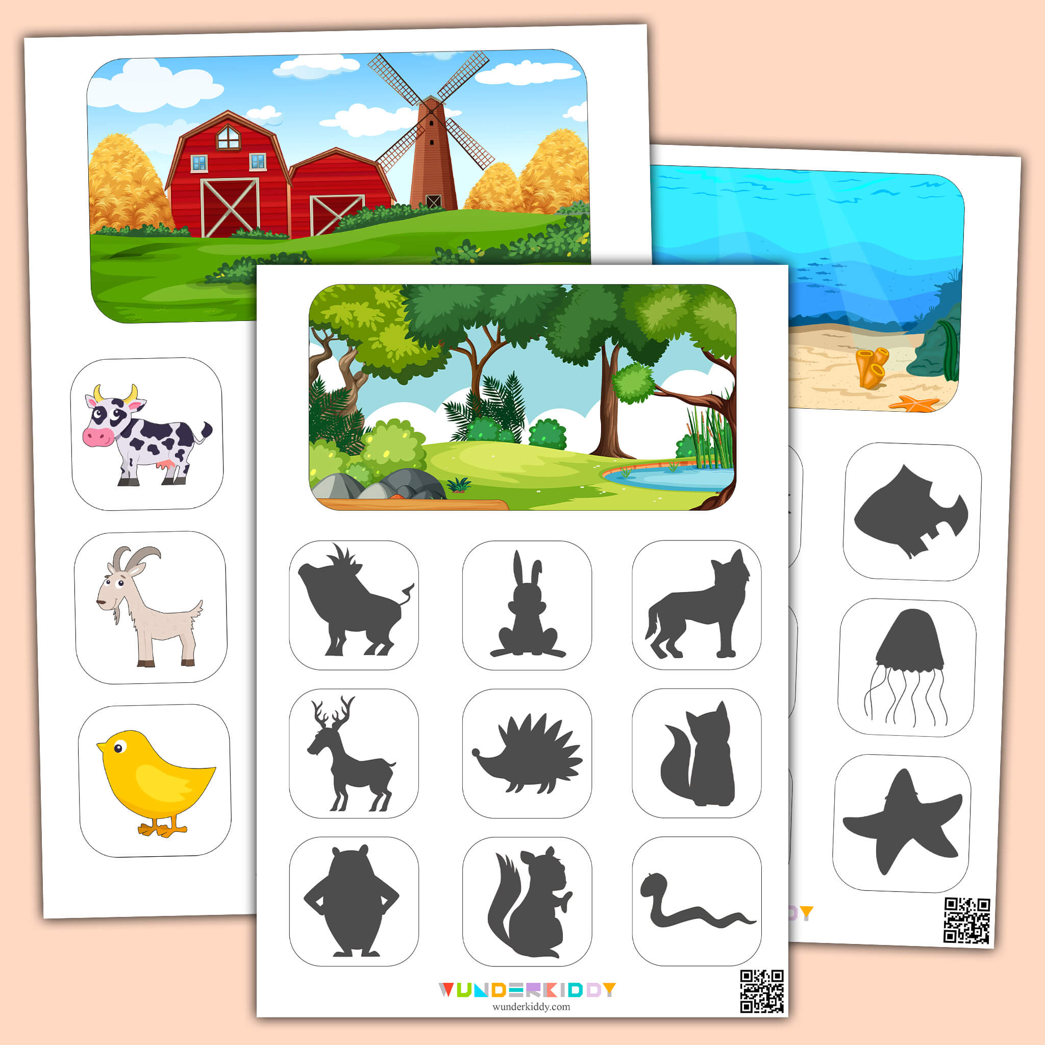 Animal Classification Sorting Activity