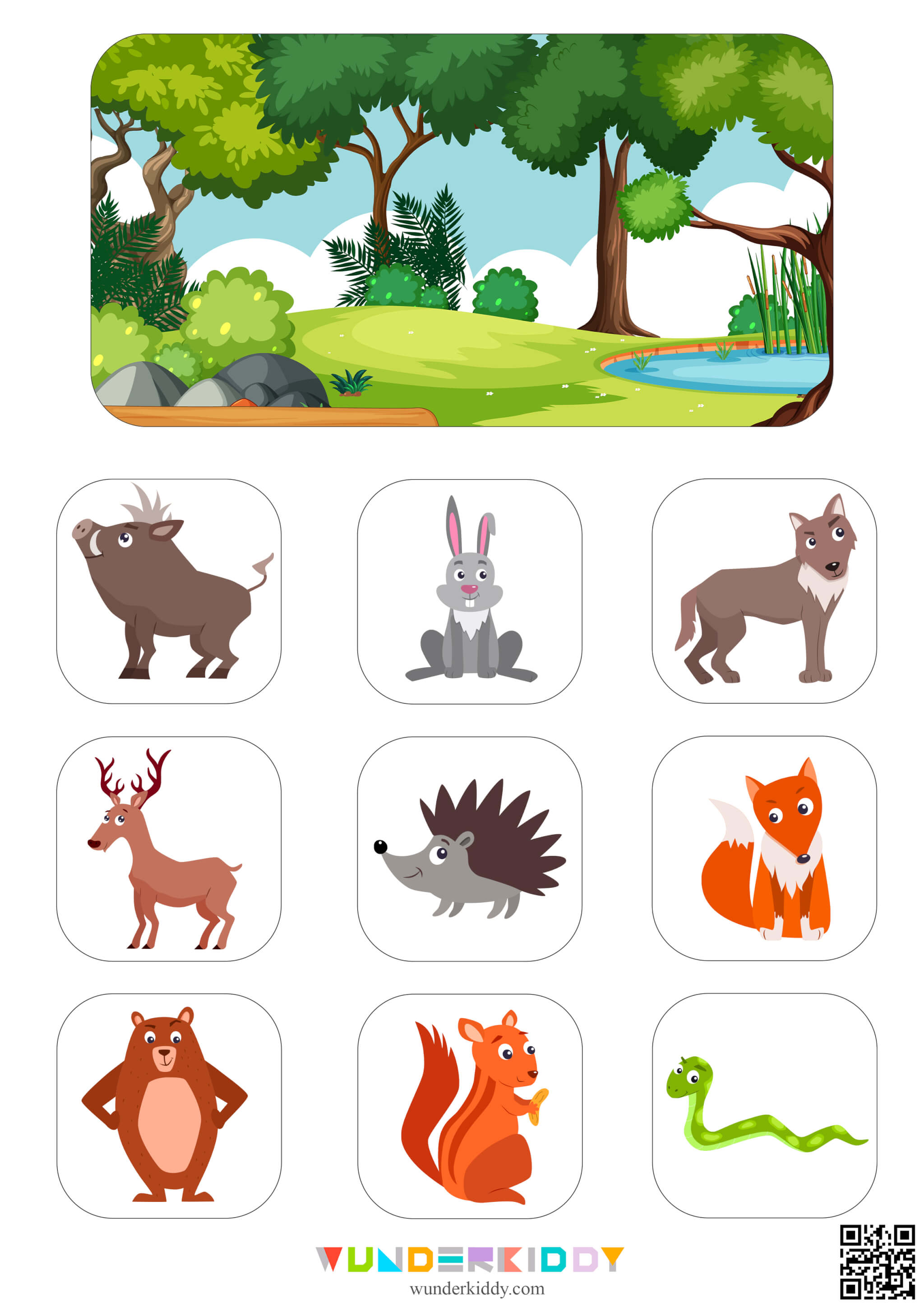 Animal Classification Sorting Activity - Image 3