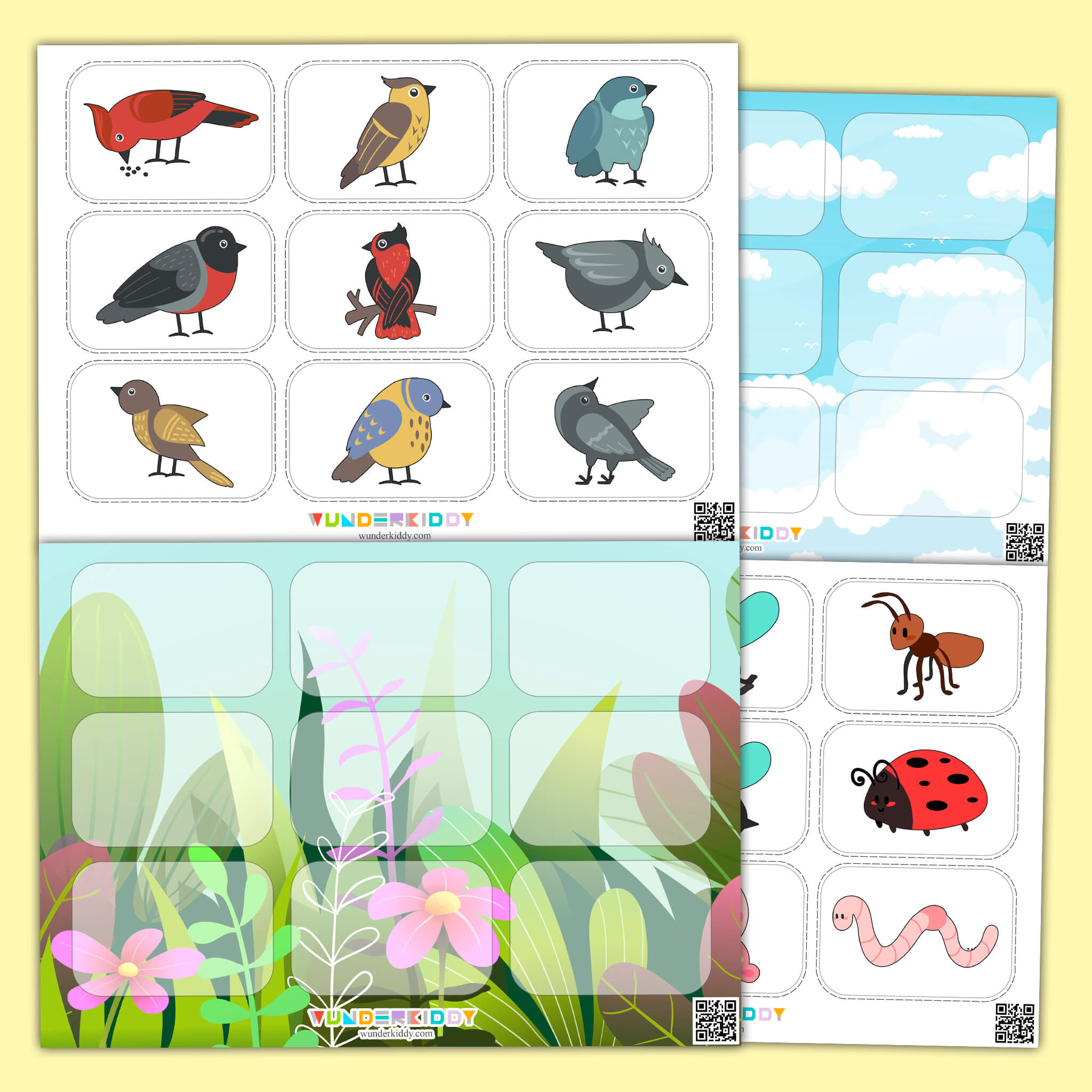 Animal Classification Sorting Game