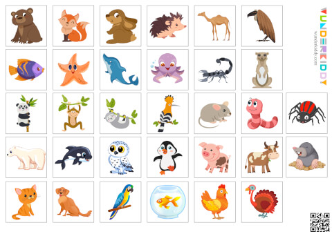 Animal Habitat Sorting Game - Image 5