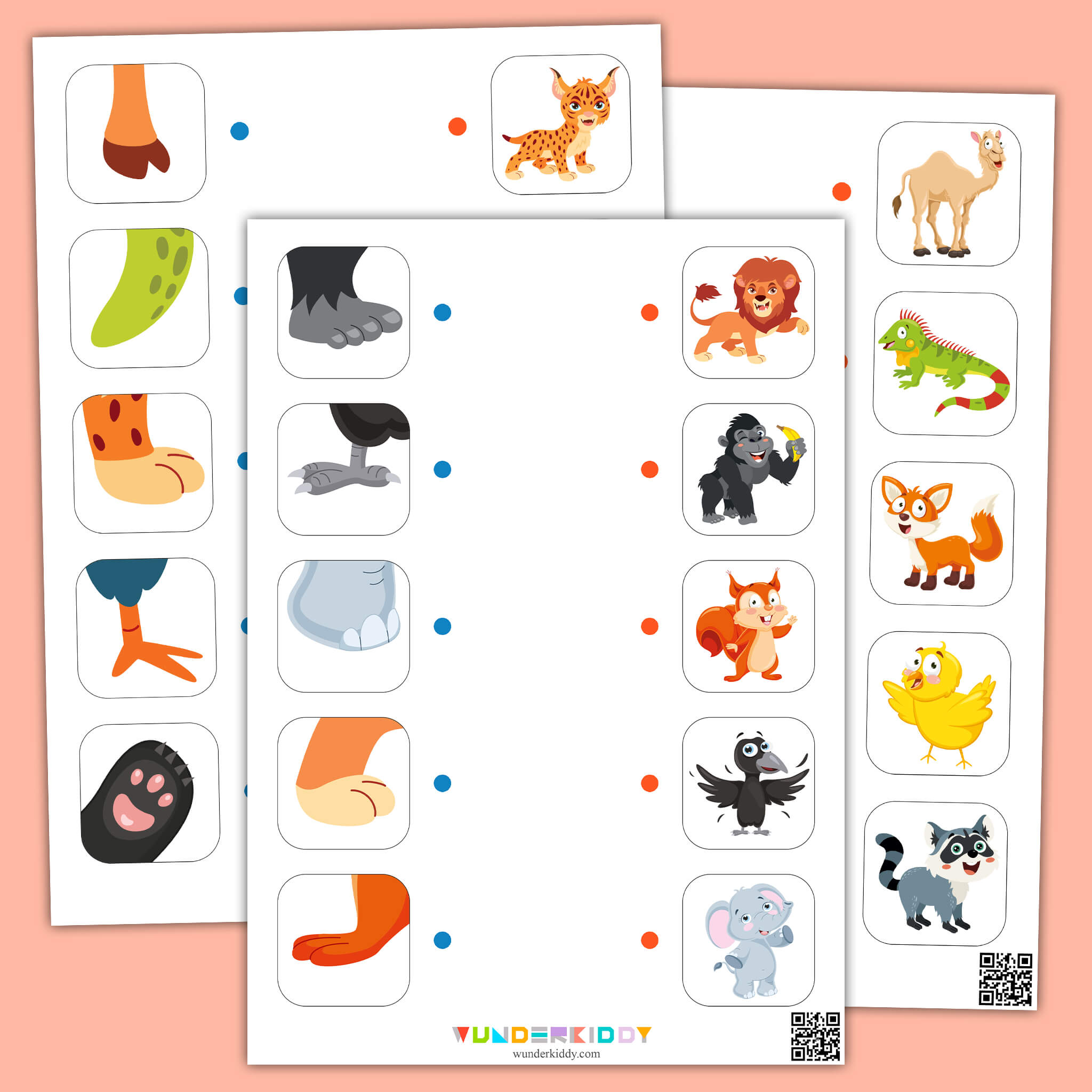 Animal Paw Worksheet