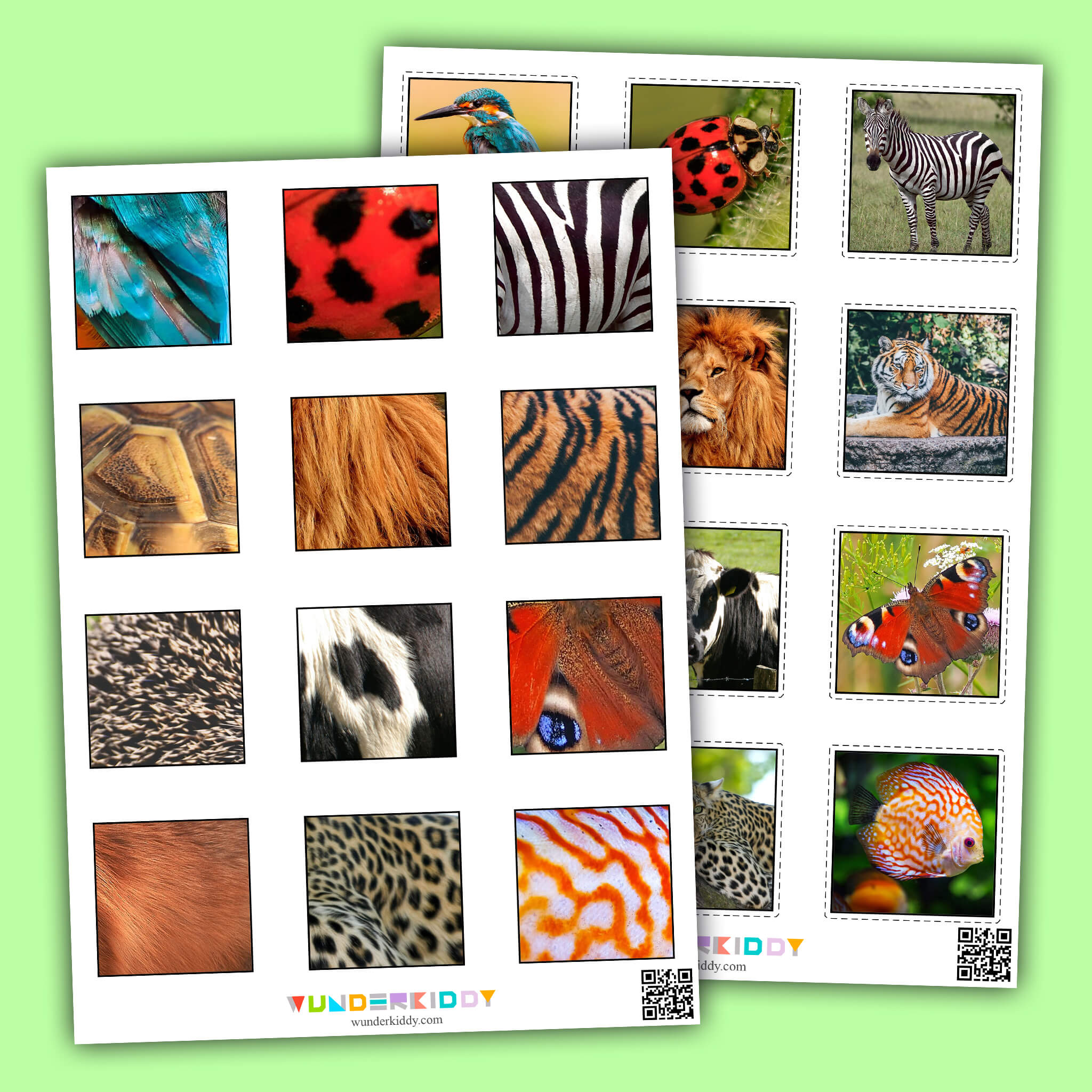 Animals Skin Matching Cards