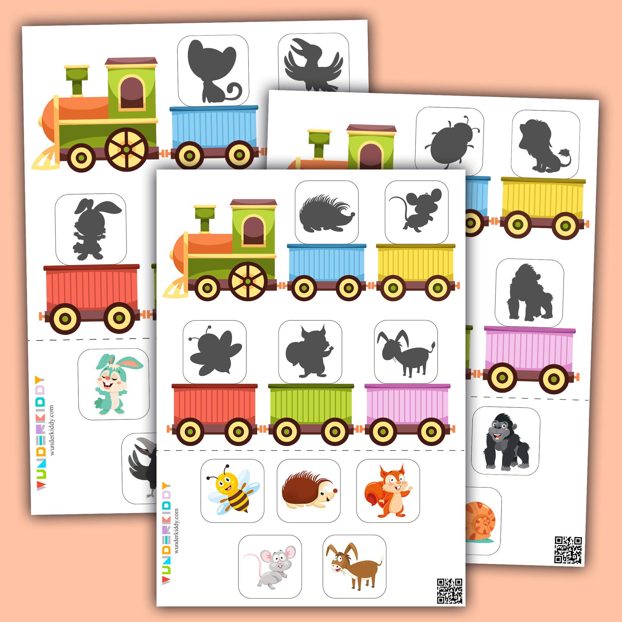 Animals Train Shadows Activity