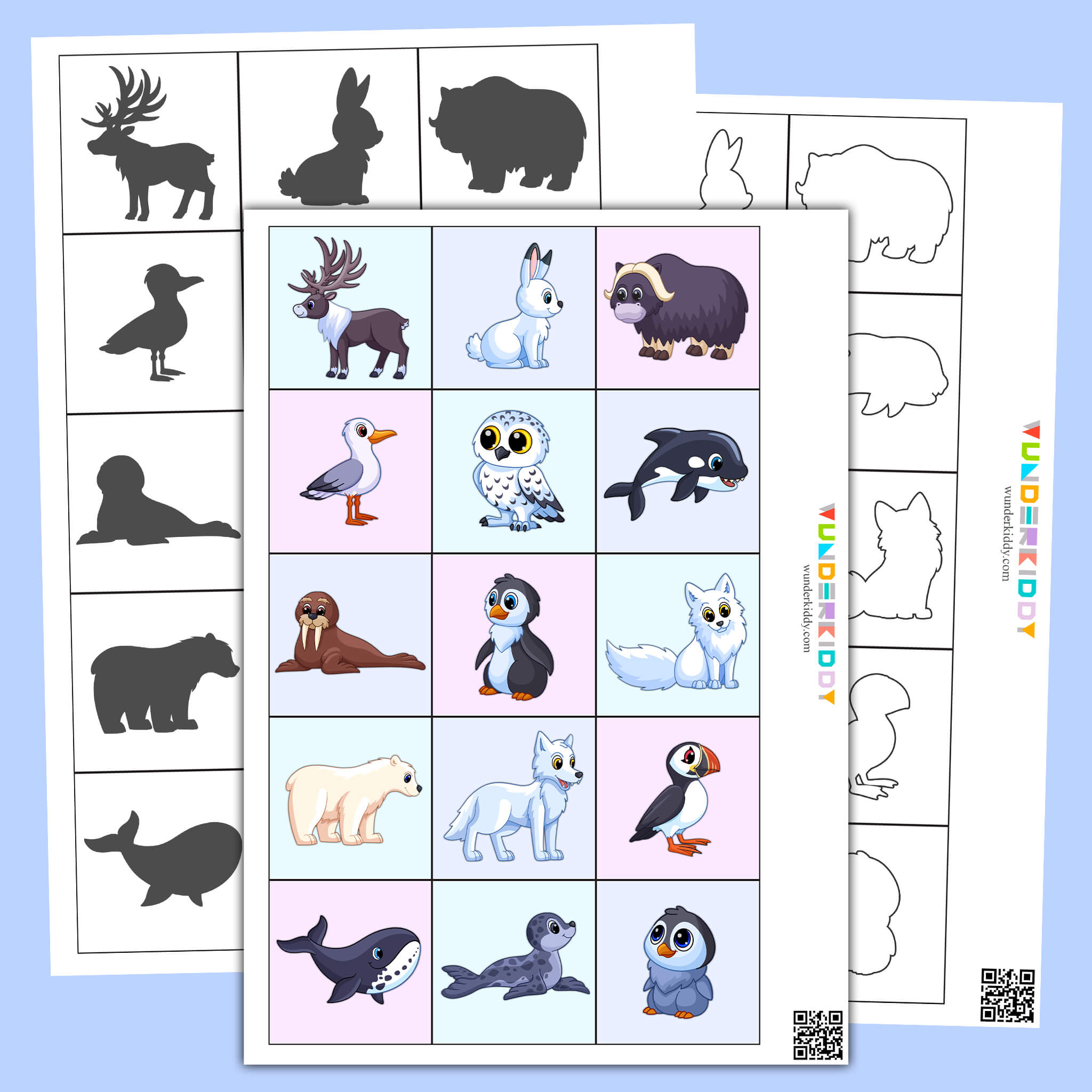 Polar Printable Activity