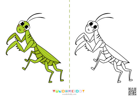 Insects Coloring Pages - Image 13