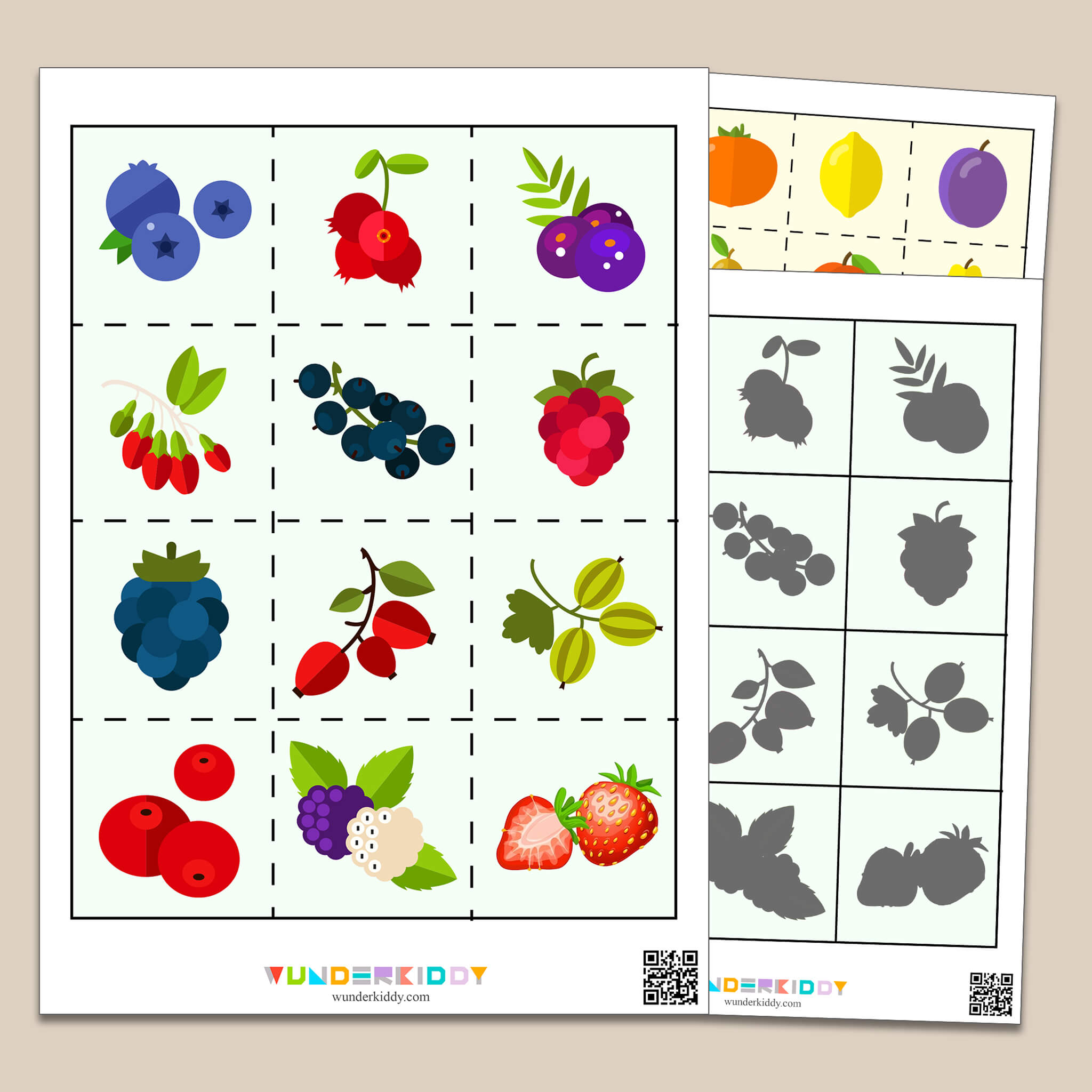 Find the Shadow Worksheet