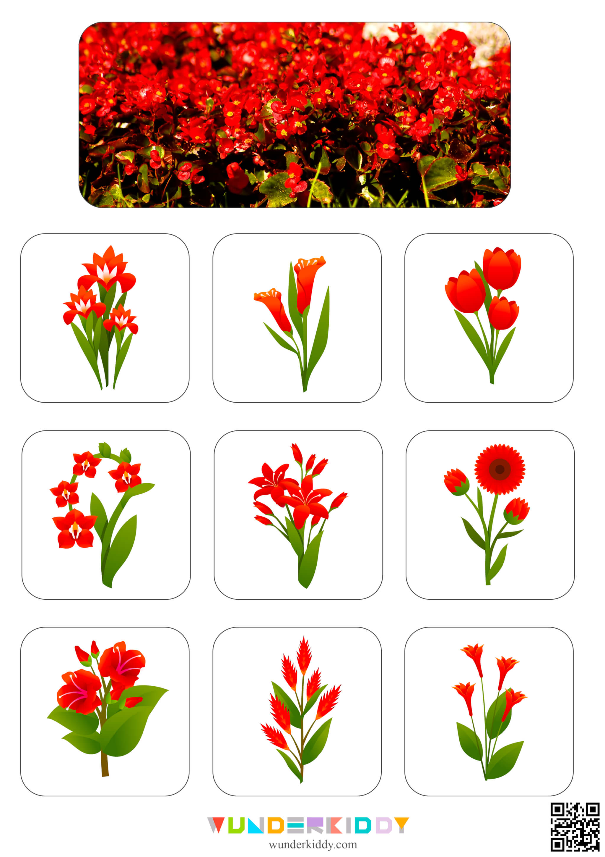 Flowers Sorting Mats - Image 2