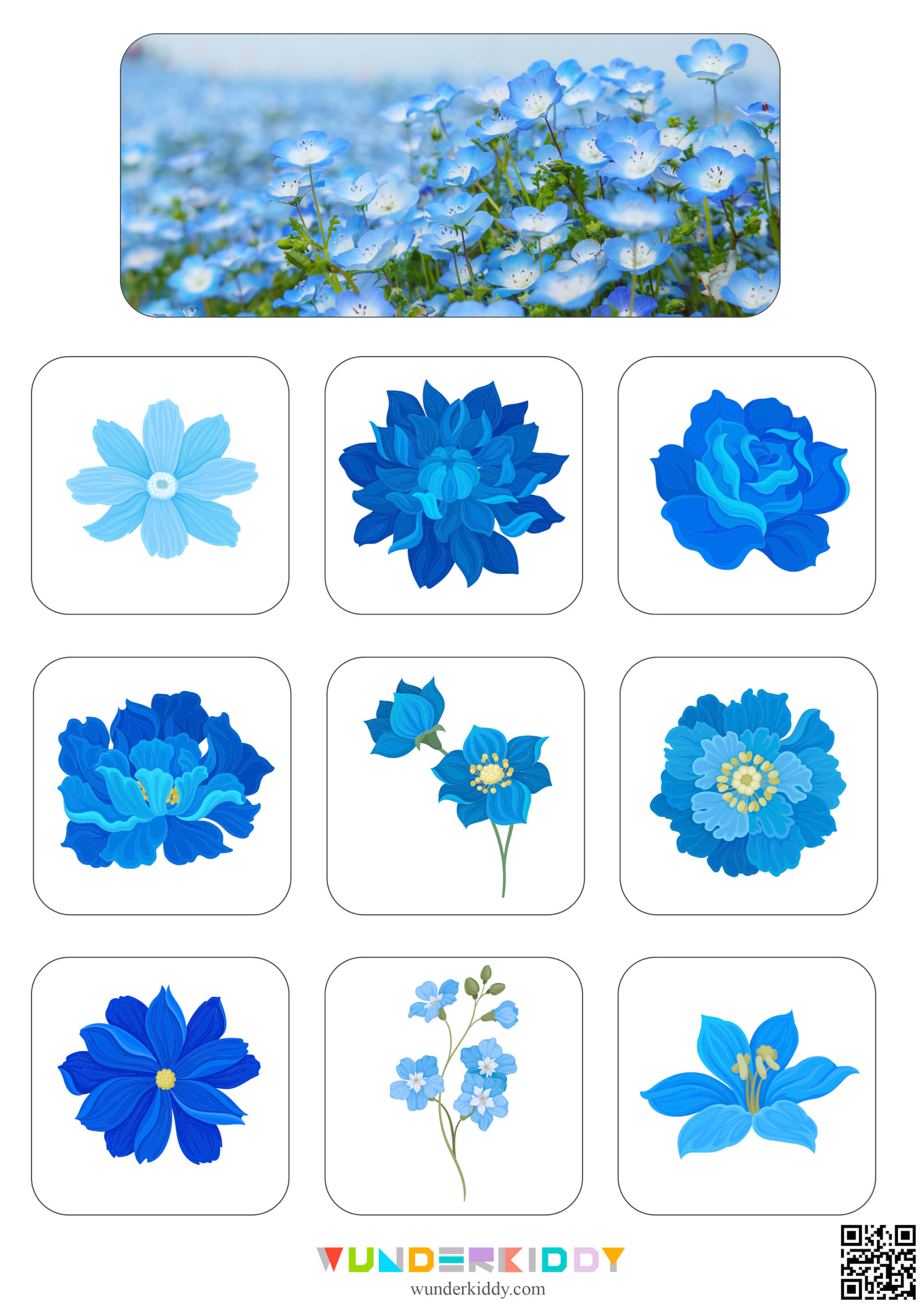 Flowers Sorting Mats - Image 4