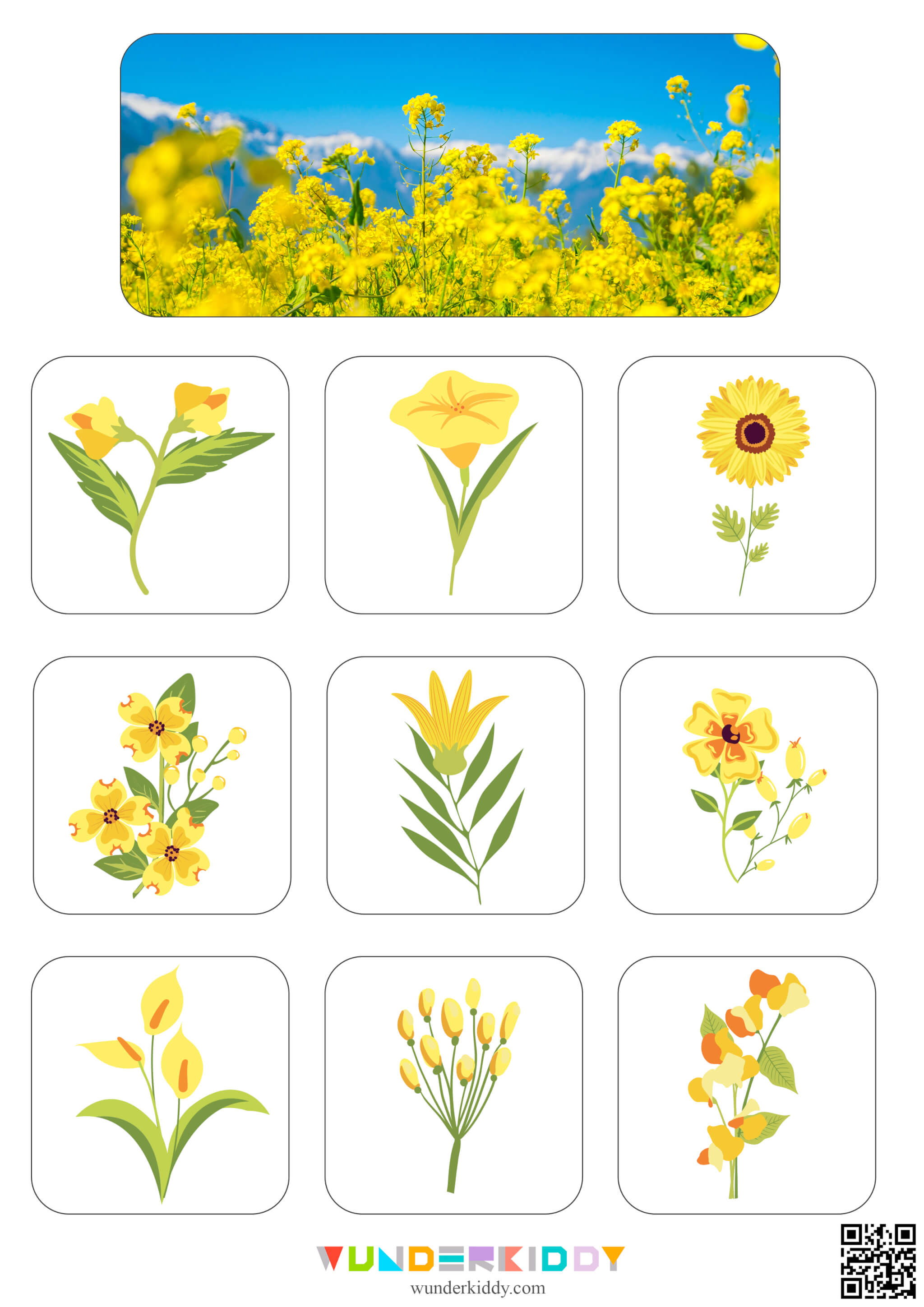 Flowers Sorting Mats - Image 8