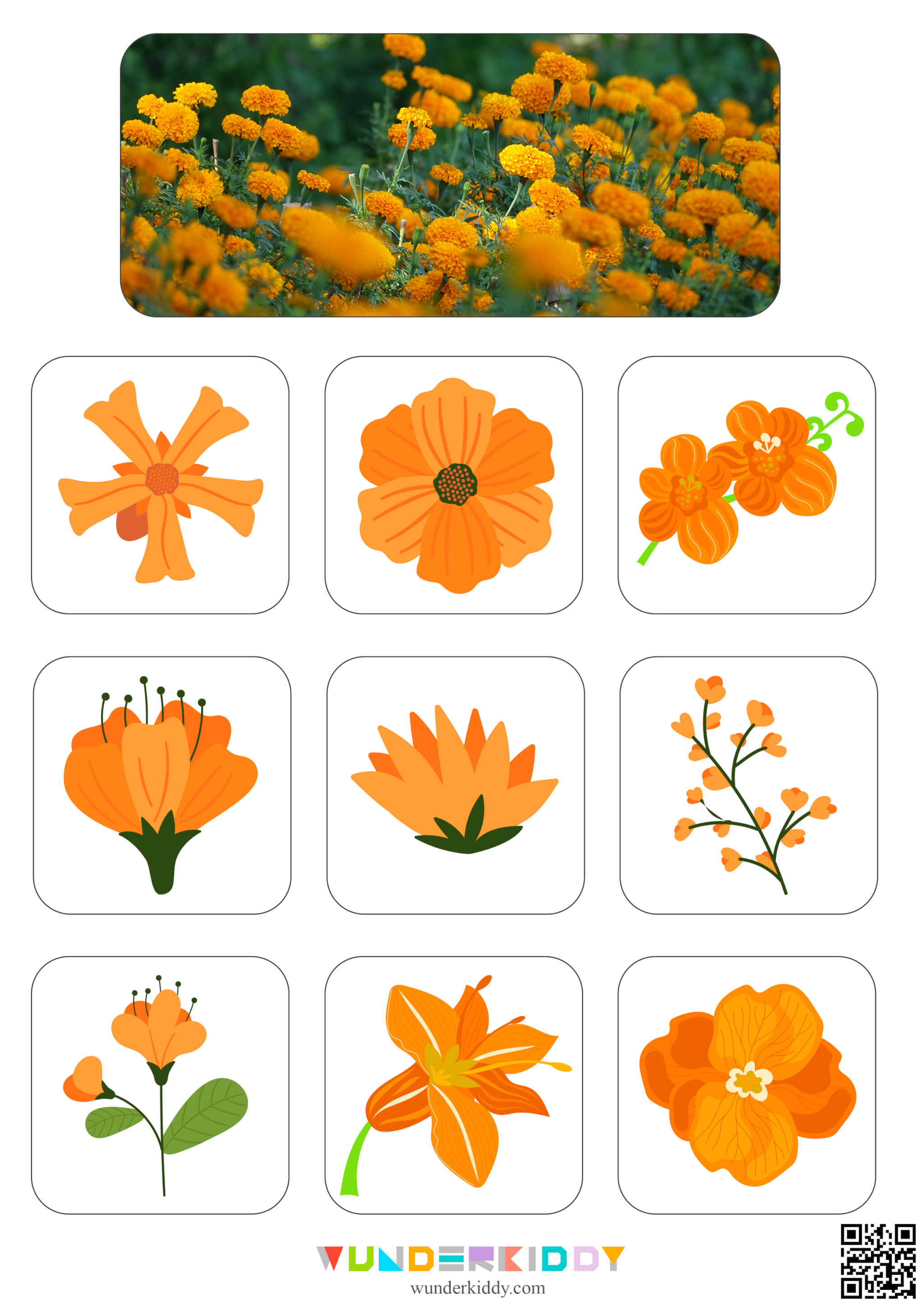 Flowers Sorting Mats - Image 10