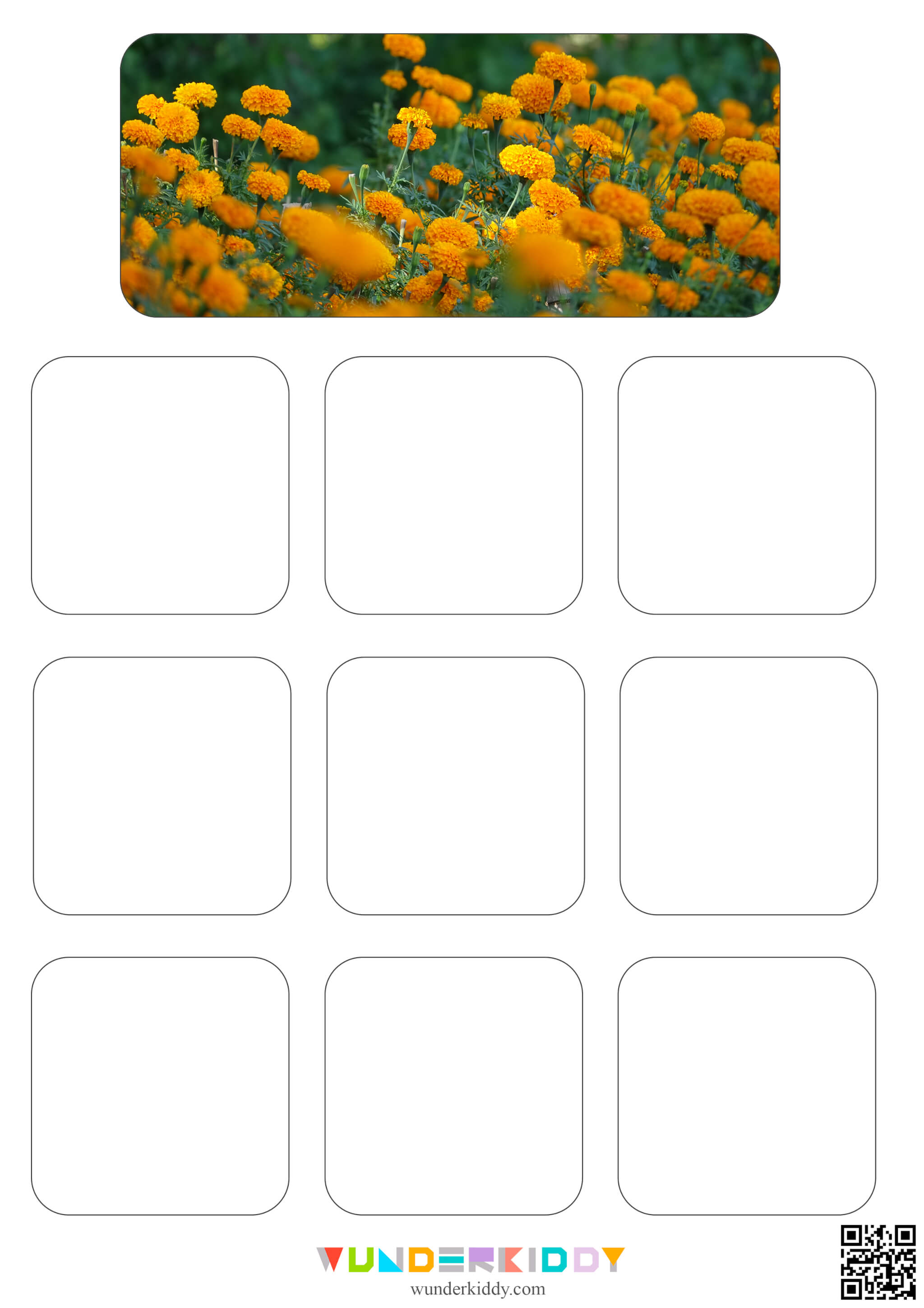 Flowers Sorting Mats - Image 11