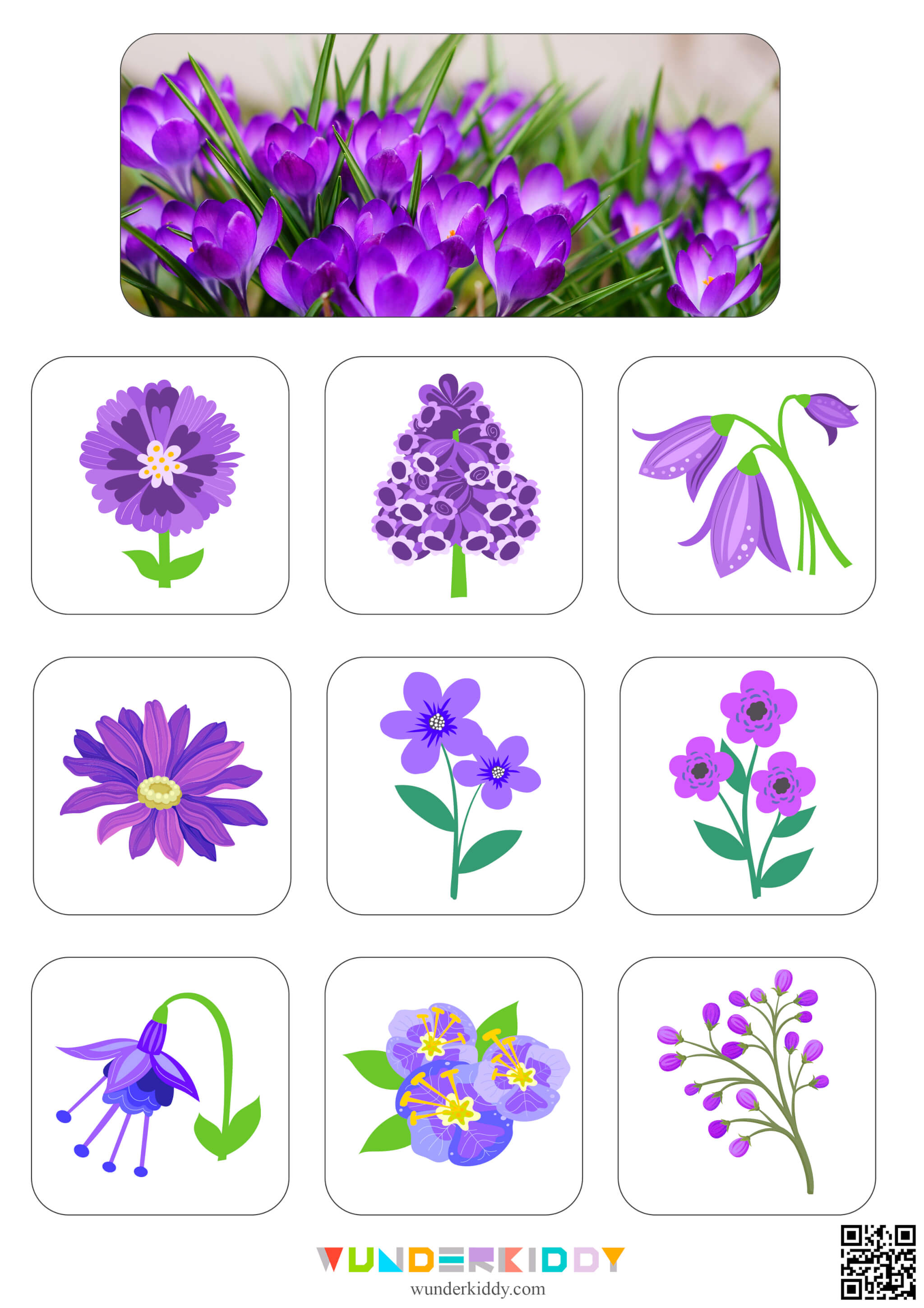 Flowers Sorting Mats - Image 12