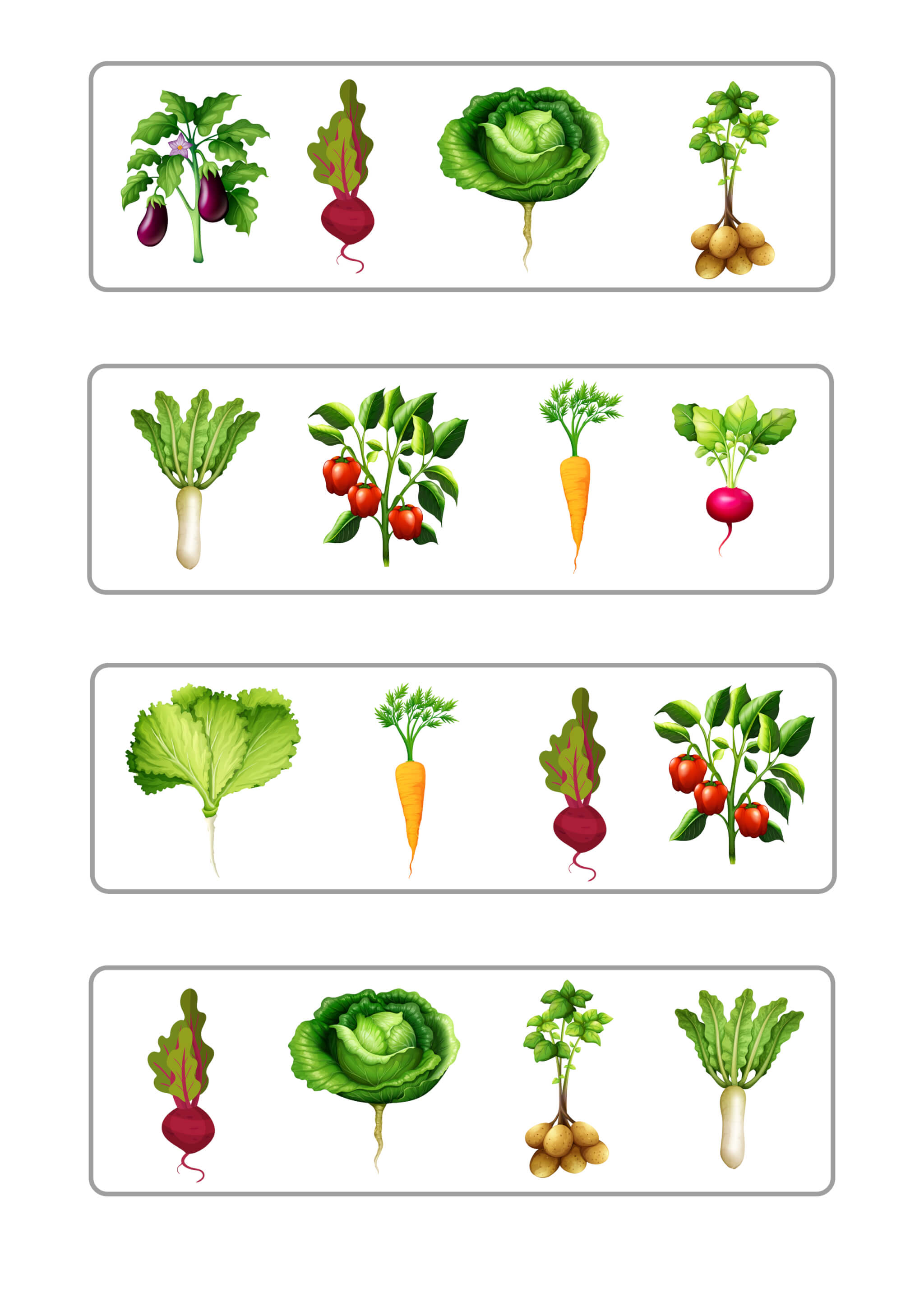 Garden Worksheet Plant Patterns - Image 4