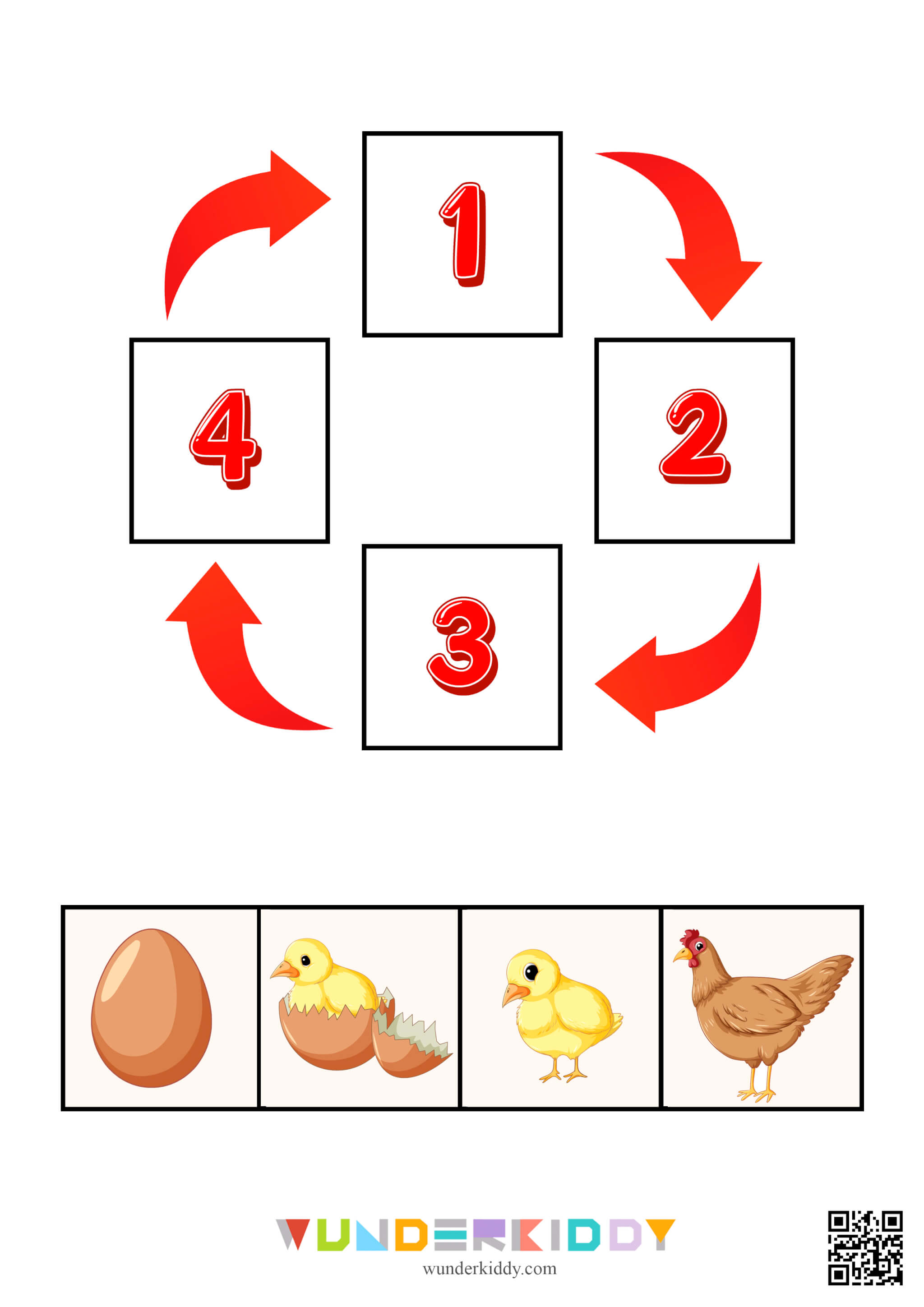 Science Activity Animals and Plants Life Cycle - Image 7