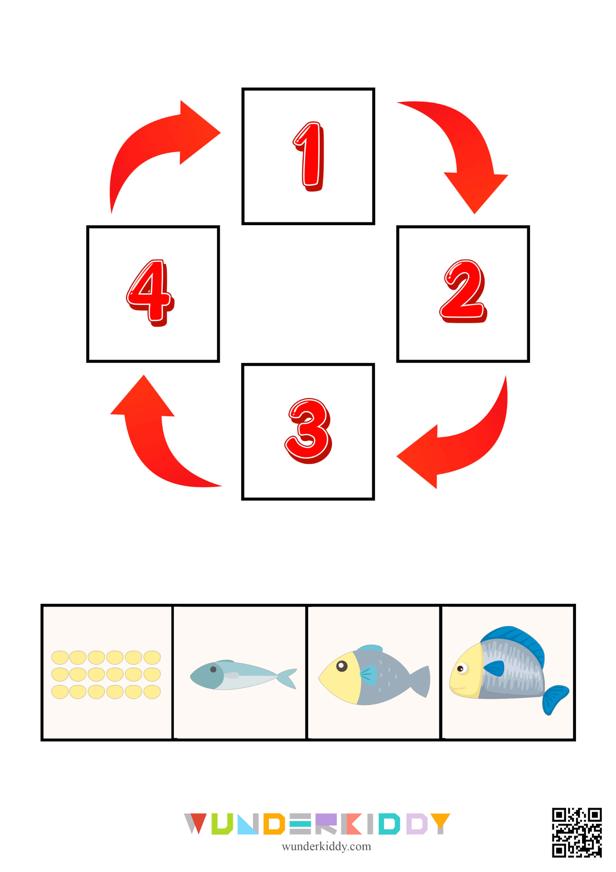 Science Activity Animals and Plants Life Cycle - Image 9