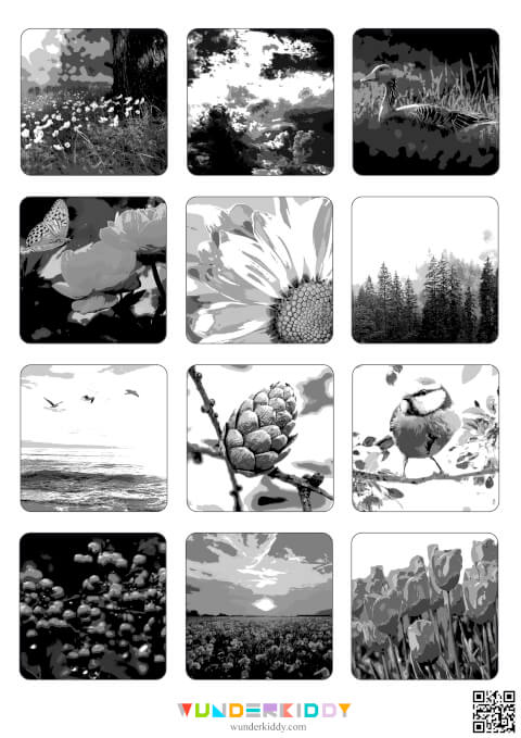 Nature Matching Activity - Image 2