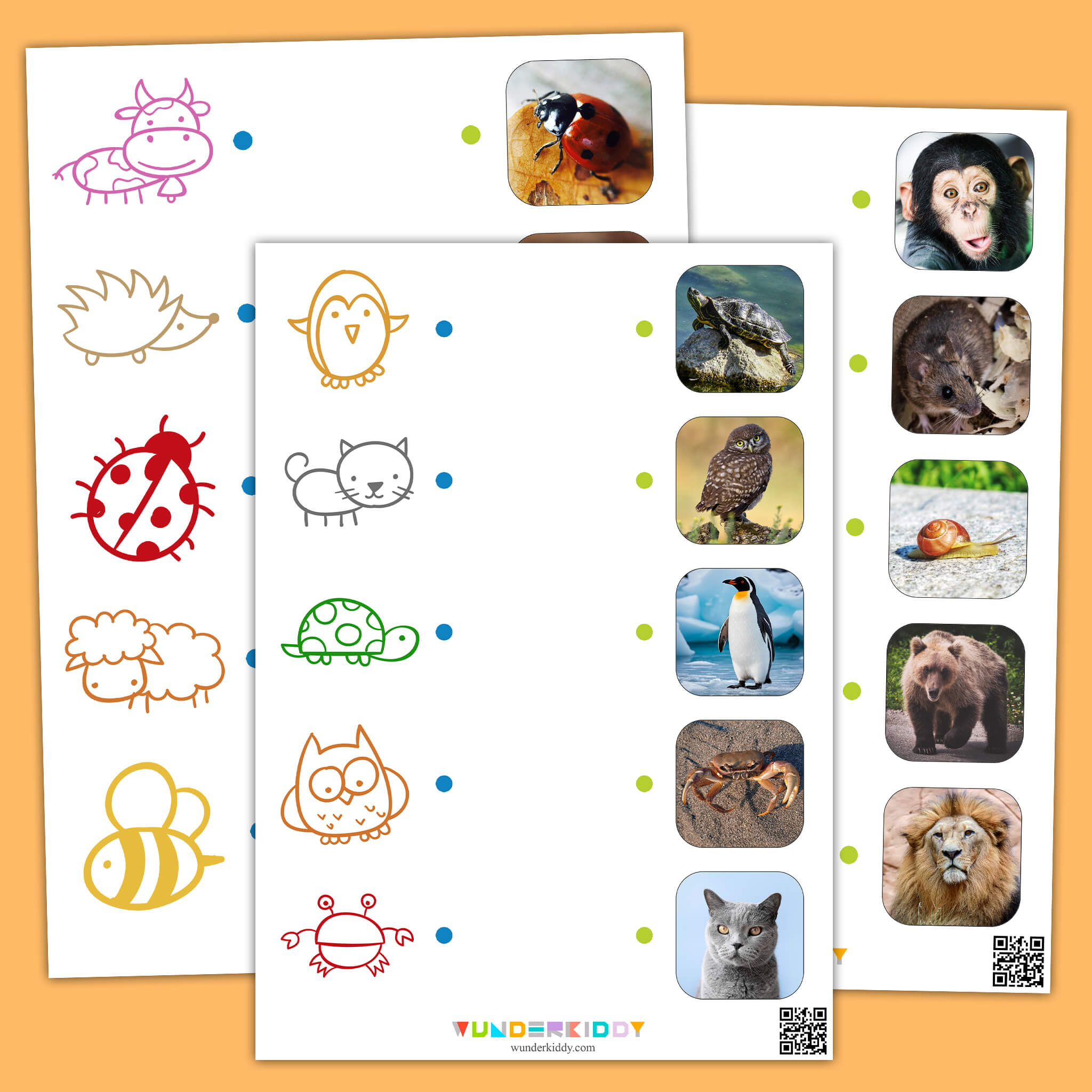 Painted Animals Worksheet