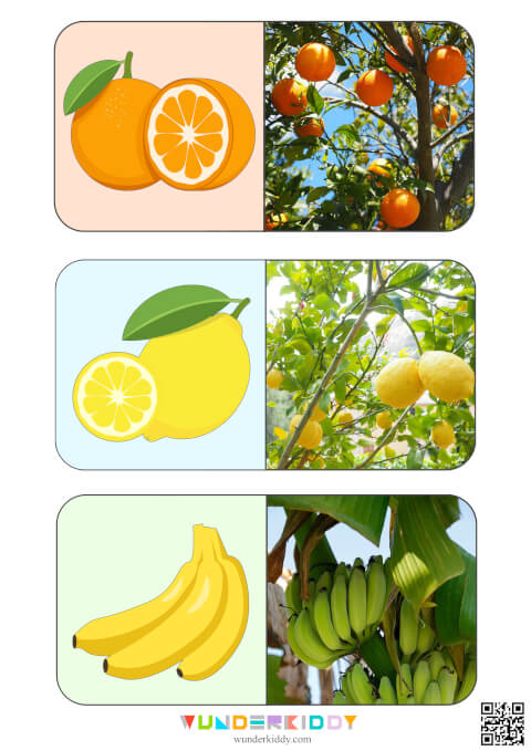 Развивающая игра «Найди пару - Фрукты и ягоды» - Изображение 4