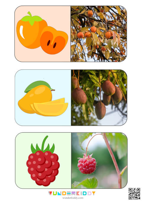 Sweet Fruits Montessori Activity - Image 8