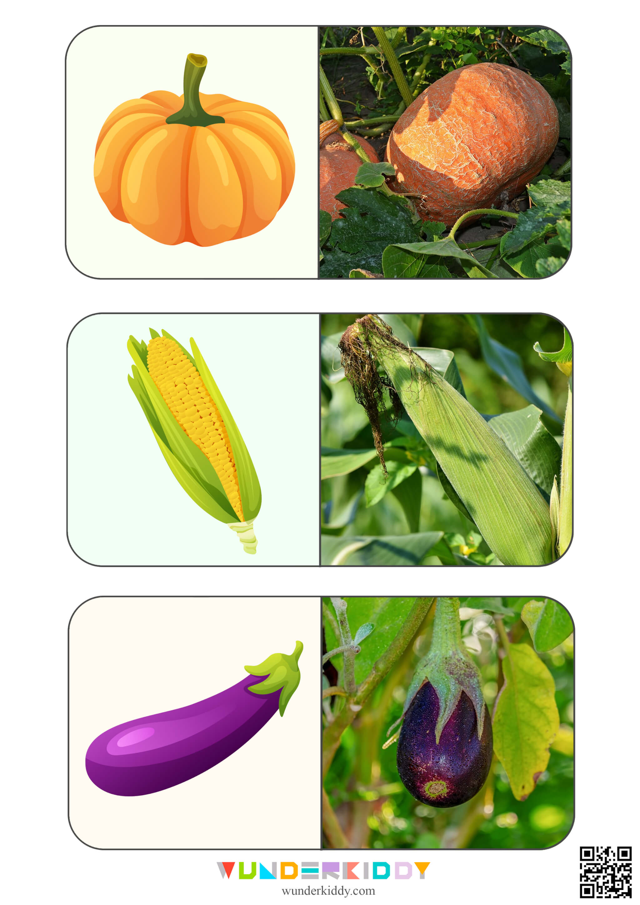 Vegetable Montessori Display Cards - Image 3